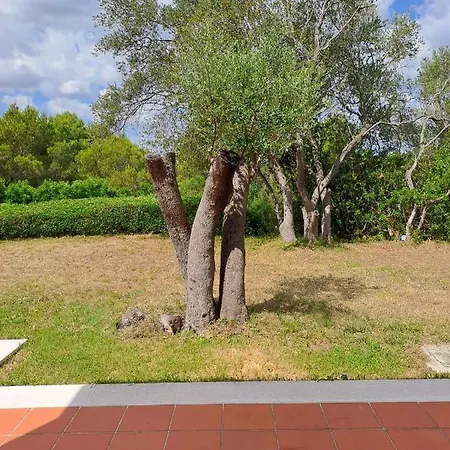 Francesca - Con Giardino