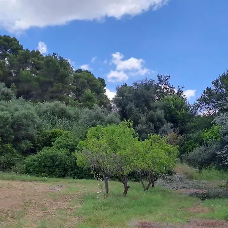 Alojamento de Turismo Selvagem Francesca - Con Giardino *
