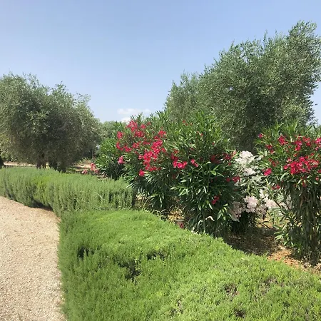 Francesca - Con Giardino Alojamento de Turismo Selvagem Castellaneta